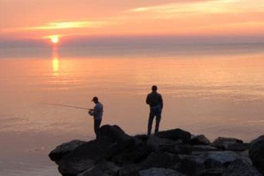 SELKIRK SHORES STATE PARK campground
