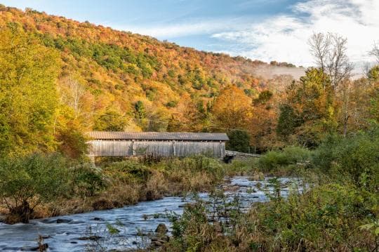 Beaverkill (John and Patricia Adams Campground at) campground