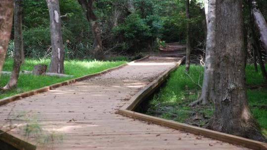 Carolina Beach State Park campground