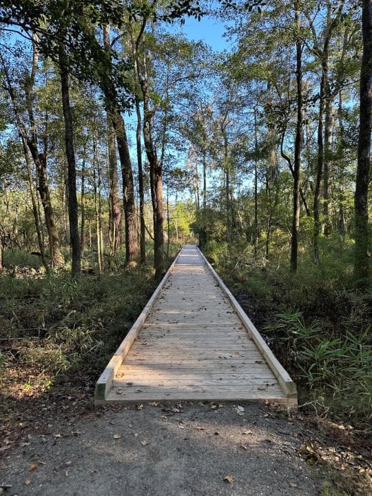 Goose Creek State Park campground