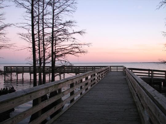 Pettigrew State Park campground