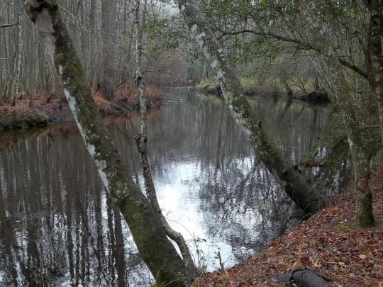 Lumber River State Park campground