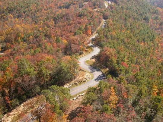 Gorges State Park Campground in North Carolina