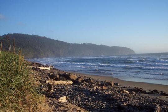 Cape Lookout State Park campground