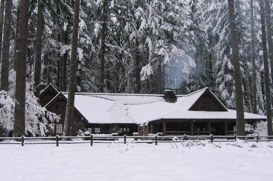 Silver Falls State Park campground