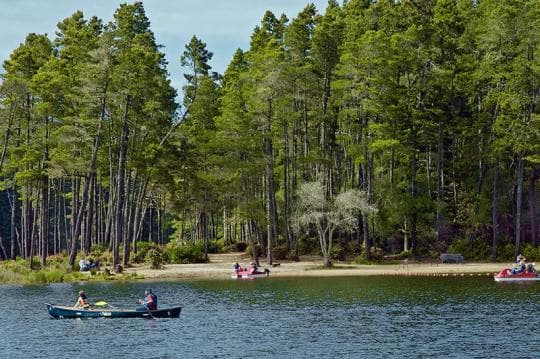 Jessie M. Honeyman Memorial State Park campground