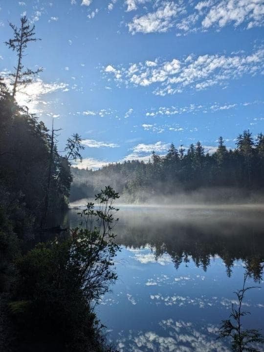 Umpqua Lighthouse State Park campground