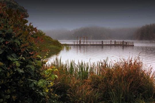 William M. Tugman State Park campground