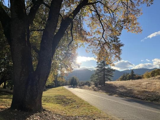 Valley of the Rogue State Park campground