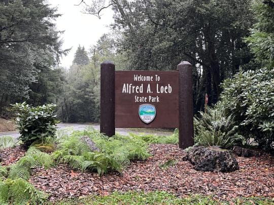 Alfred A. Loeb State Park campground