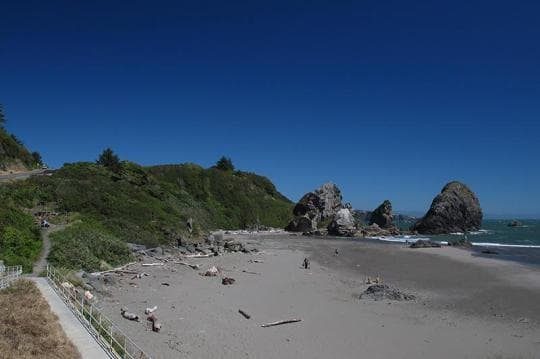 Harris Beach State Park campground