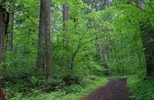 Ainsworth State Park campground