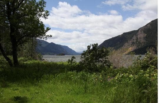 Viento State Park campground