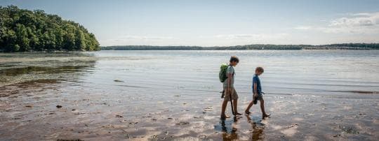 Elk Neck State Park campground