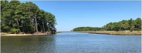 Janes Island State Park campground