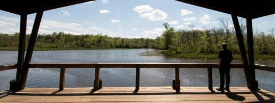 Martinak State Park campground
