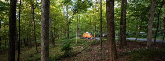 New Germany State Park campground