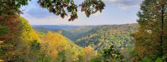 Savage River State Forest campground