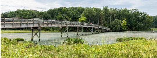 Smallwood State Park campground
