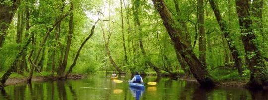 Tuckahoe State Park campground