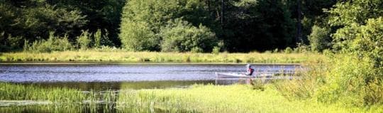 CHAPMAN STATE PARK campground