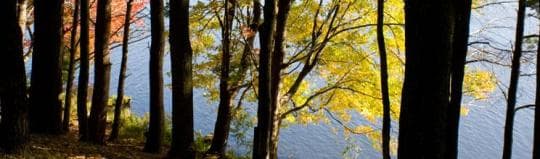 HILLS CREEK STATE PARK campground