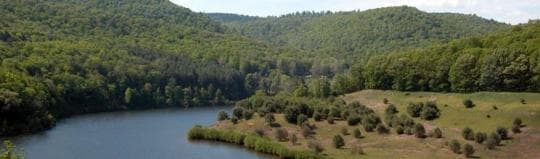 KETTLE CREEK STATE PARK campground