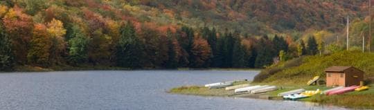 LYMAN RUN STATE PARK campground
