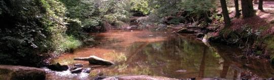 Reeds Gap State Park Campground in Pennsylvania