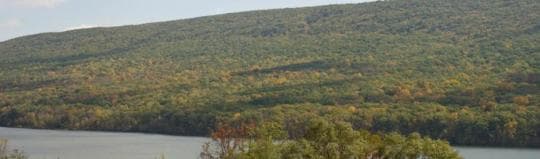 BALD EAGLE STATE PARK campground