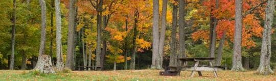 Cherry Springs State Park Campground in Pennsylvania