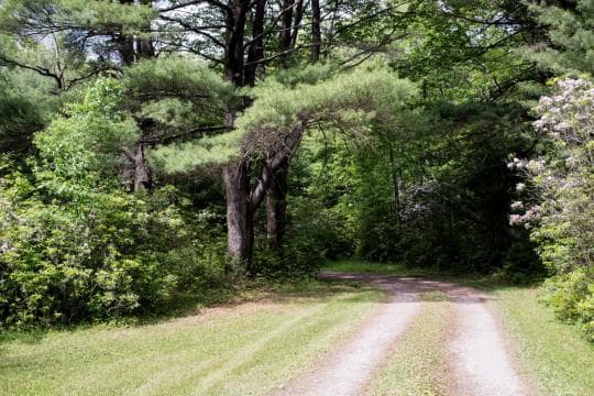 CLEAR CREEK STATE PARK campground