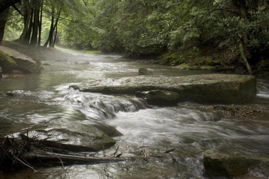 COOK FOREST STATE PARK campground