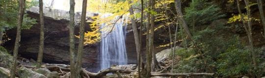 OHIOPYLE STATE PARK campground