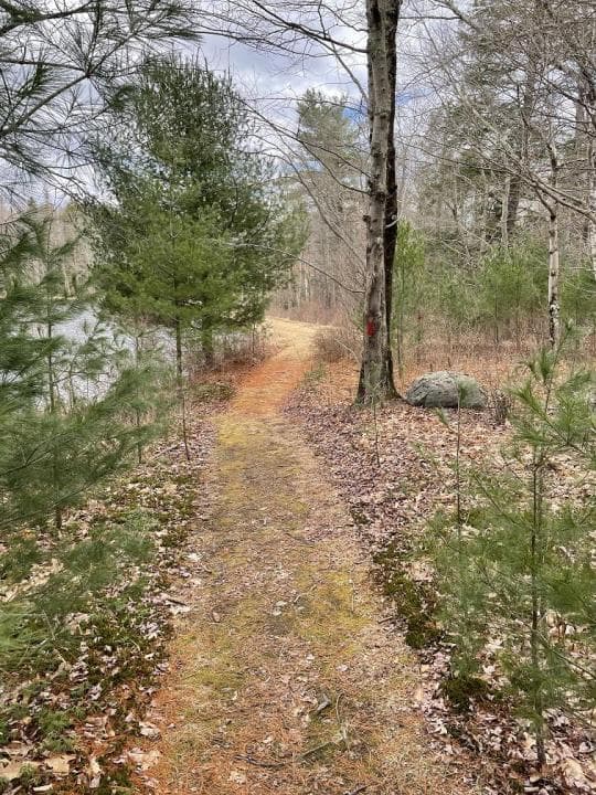 Delaware State Forest campground