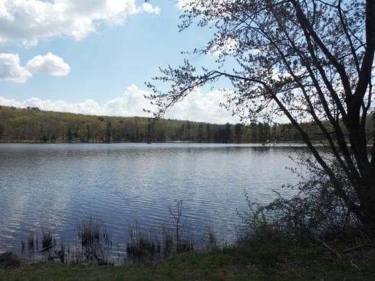 Pinchot State Forest Campground in Pennsylvania