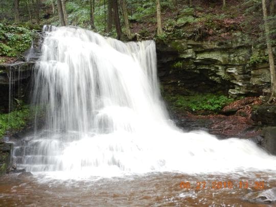Loyalsock State Forest campground