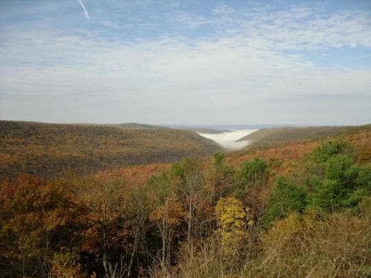 Sproul State Forest campground