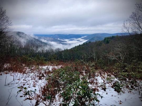 Tiadaghton State Forest campground