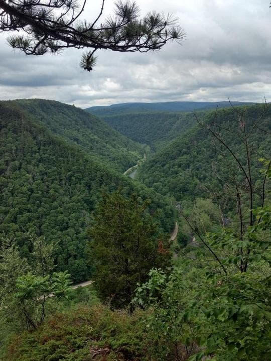 Tioga State Forest campground