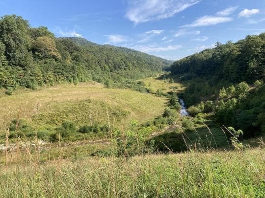 Tuscarora State Forest campground