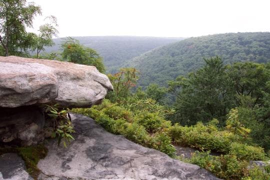 Forbes State Forest campground