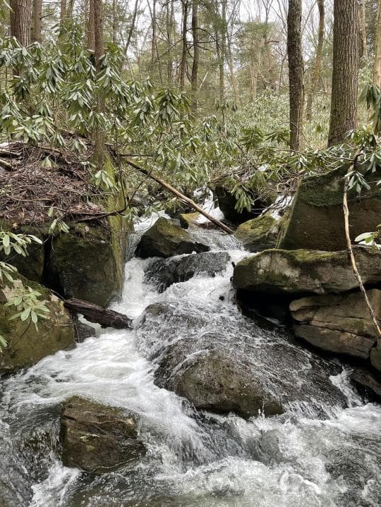 Clear Creek State Forest campground