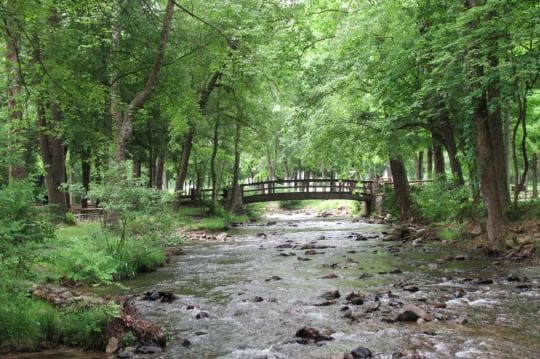 CALEDONIA STATE PARK campground
