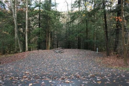 GREENWOOD FURNACE STATE PARK campground