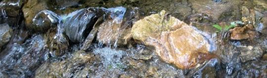 FOWLERS HOLLOW STATE PARK campground