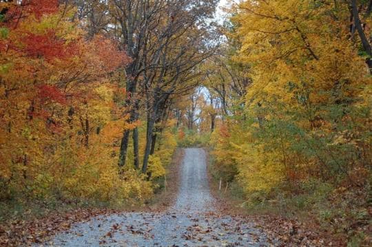 Michaux State Forest campground