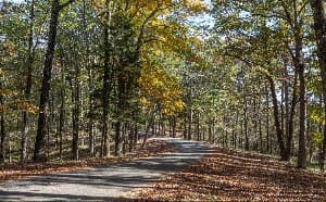 Hugh White State Park campground