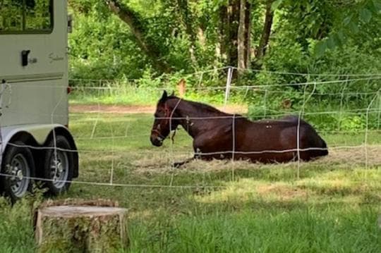 LeGrand Reynolds Horsemen campground