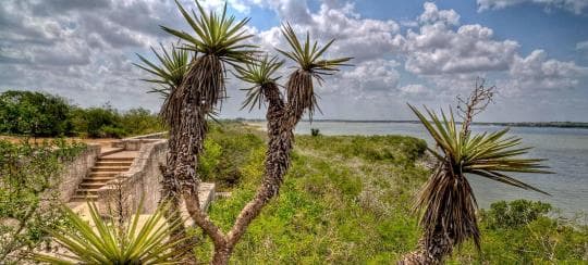 Lake Corpus Christi State Park campground